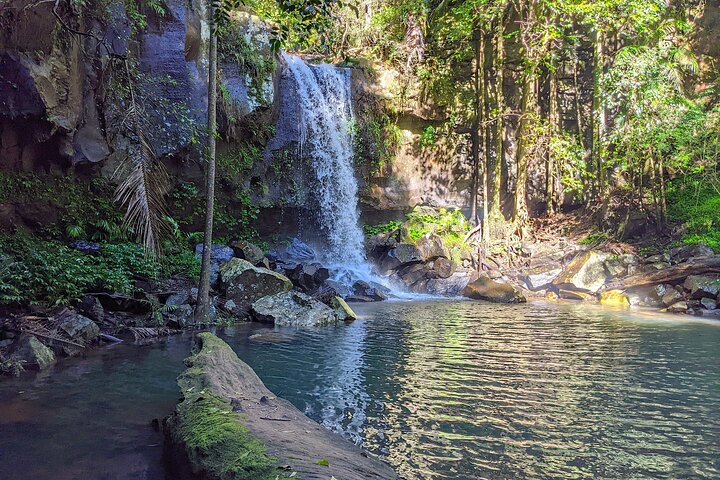 Full-Day Guided Mount Tamborine and Paradise Point Tour