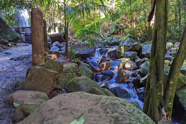 Full-Day Guided Mount Tamborine and Paradise Point Tour