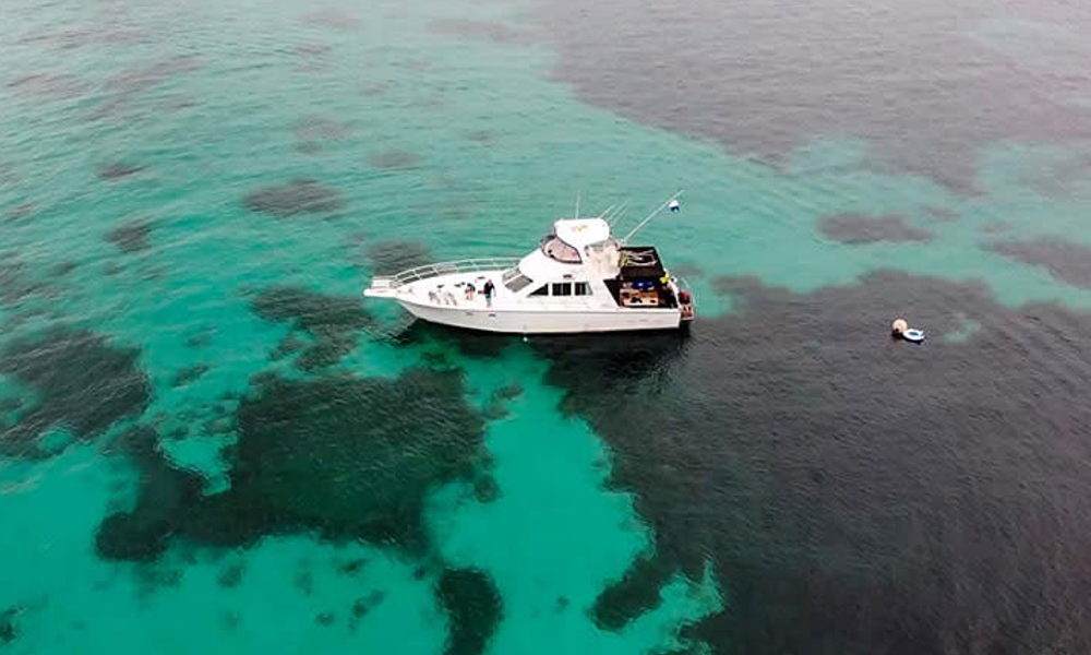 Carnac Island Snorkelling Tour with BBQ Lunch - 4 Hours