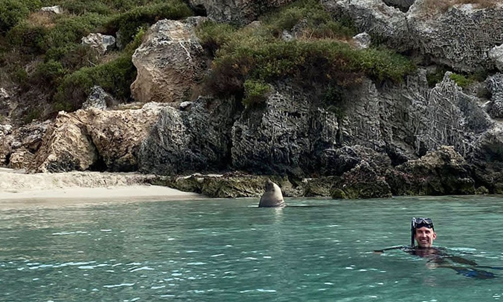 Carnac Island Snorkelling Tour with BBQ Lunch - 4 Hours