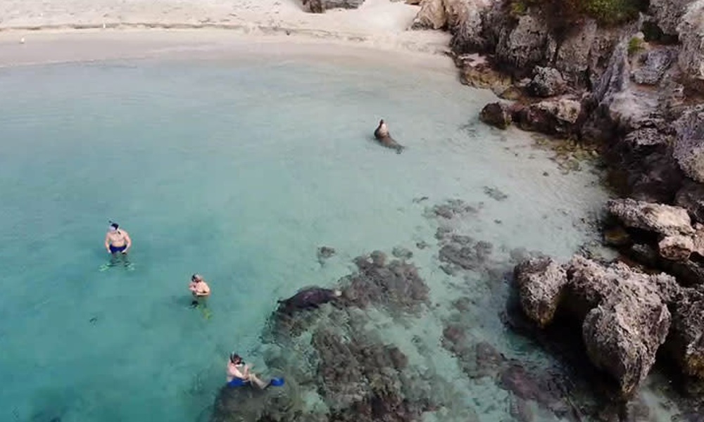 Carnac Island Snorkelling Tour with BBQ Lunch - 4 Hours