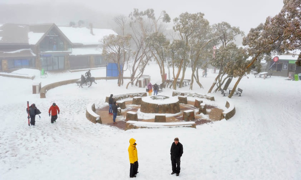Mt Buller Day Trip with Transfers from Melbourne