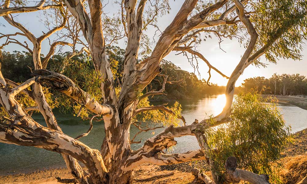 2 Night Murray River Escape Cruise