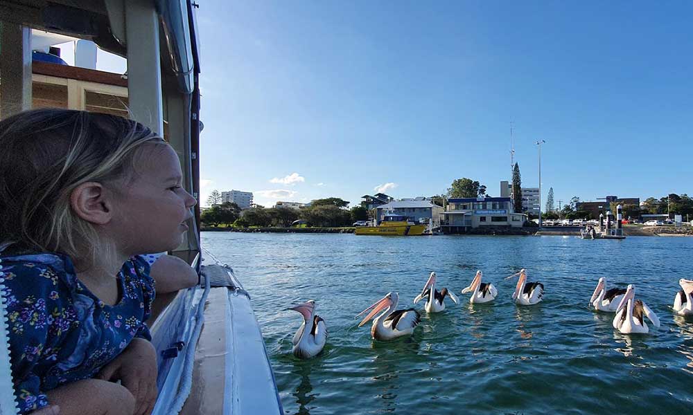 Mooloolaba Canal Cruise - 60 Minutes