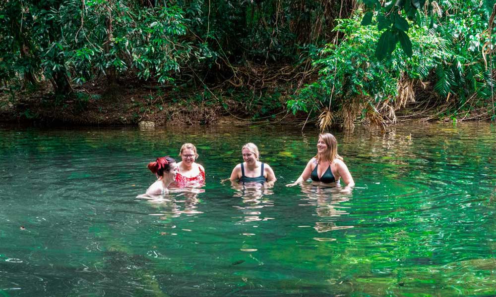 Overnight Cape Tribulation Fully Guided Tour