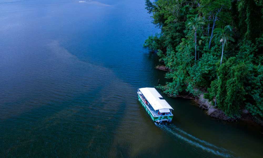 Overnight Cape Tribulation Fully Guided Tour