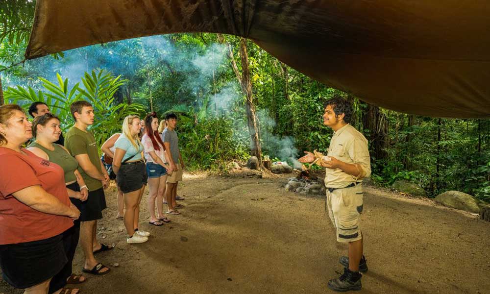 Overnight Cape Tribulation Fully Guided Tour