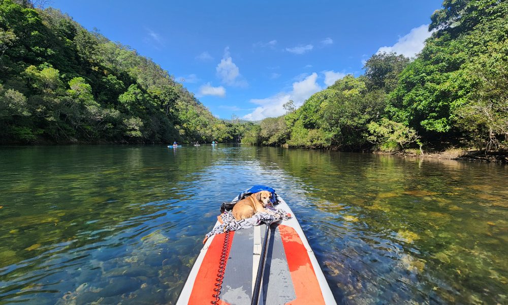 Goldsborough Valley Stand Up Paddle Board - 5 Hours