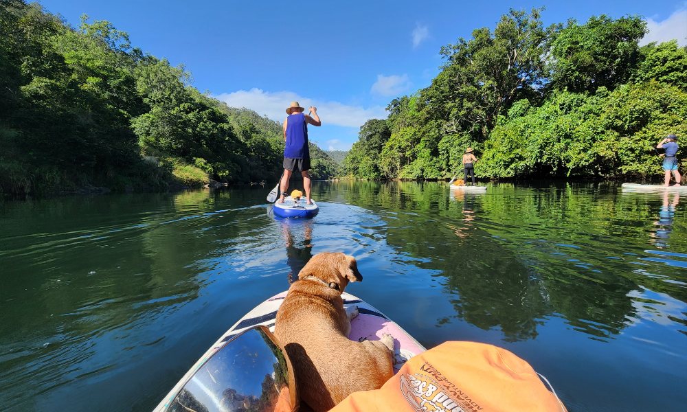 Goldsborough Valley Stand Up Paddle Board - 5 Hours