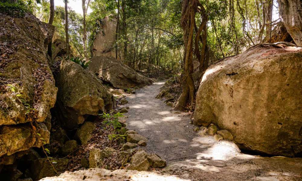 Capricorn Caves Cathedral Cave Tour