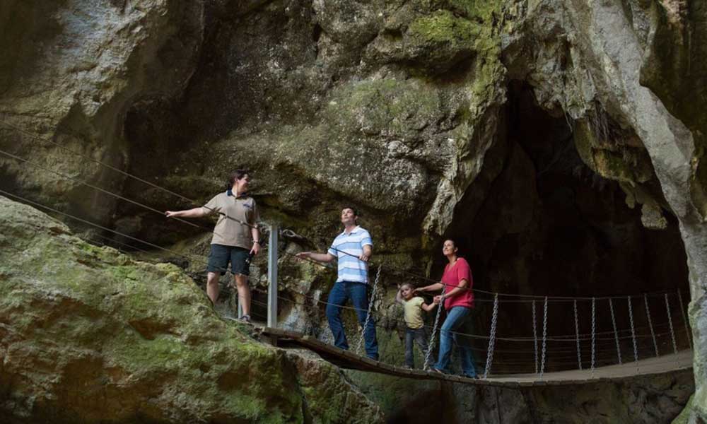 Capricorn Caves Cathedral Cave Tour