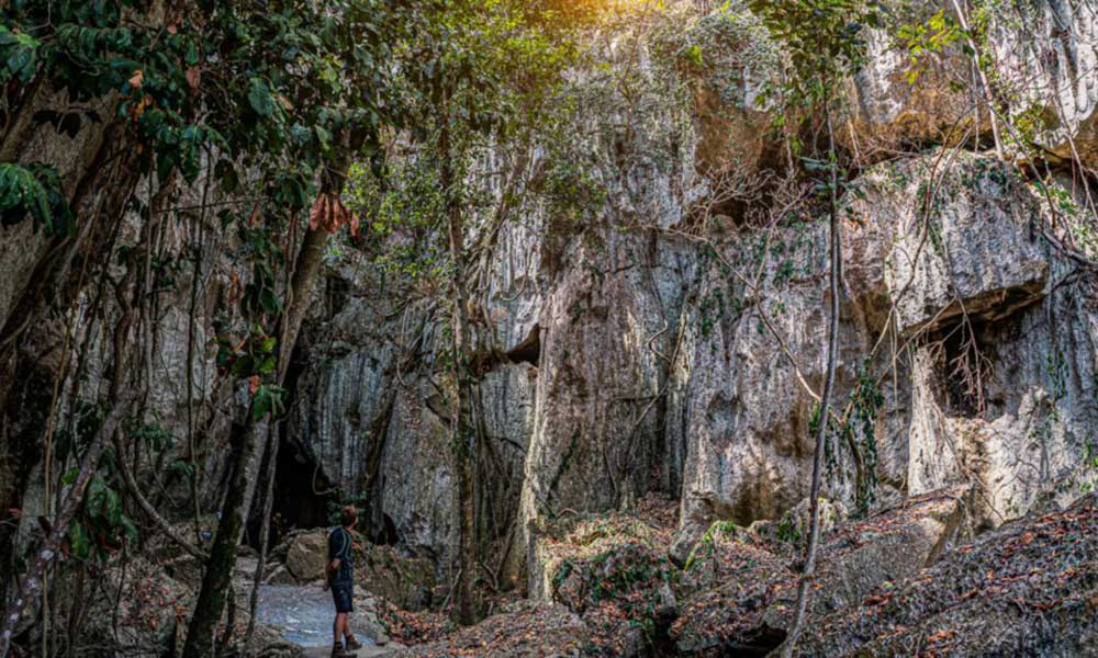 Capricorn Caves Cathedral Cave Tour