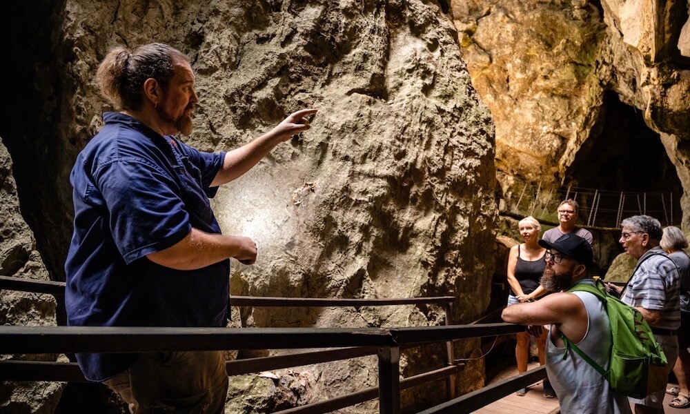 Capricorn Caves Cathedral Cave Tour