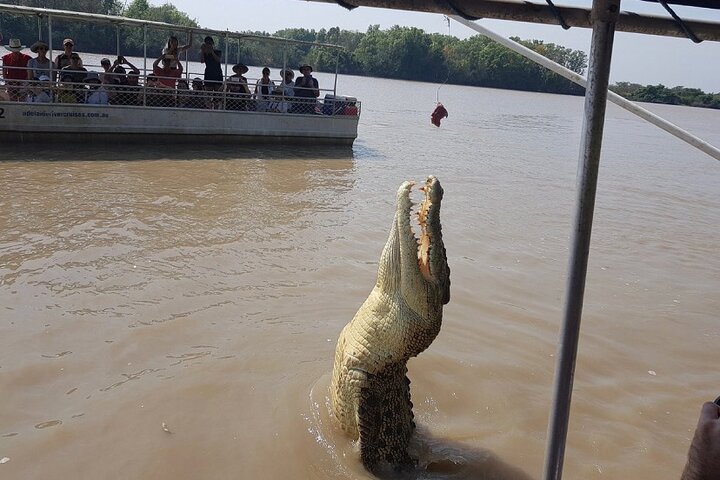 Wildlife Tour with Jumping Crocodiles