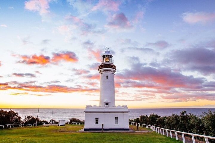 Central Coast Private Day Tour | Beaches, Bays and Wildlife & Reptile Park Entry