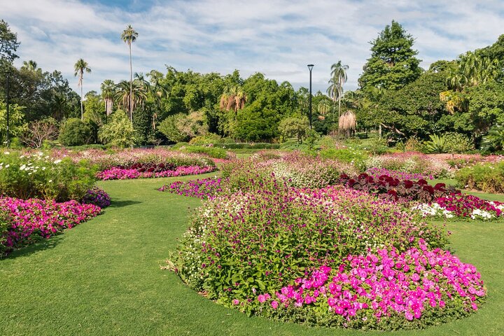 Brisbane City Botanic Gardens with Self-Guided Audio Tour