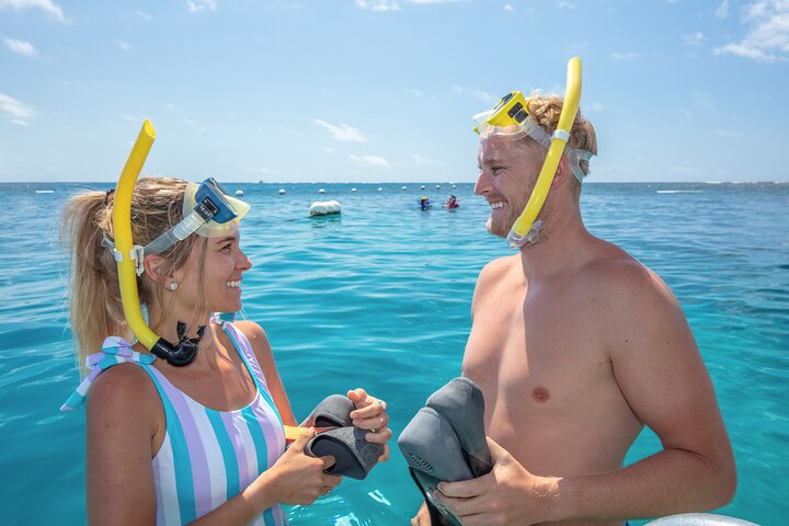 Great Barrier Reef Adventure from Cairns Inc Snorkel from Activity Platform