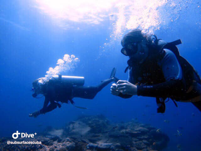 Scuba Diving Sunshine Coast Reefs - Double Dive