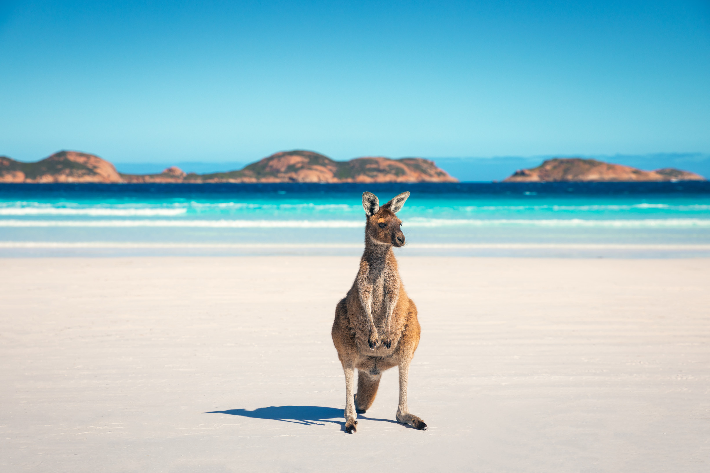 south western australia tourism