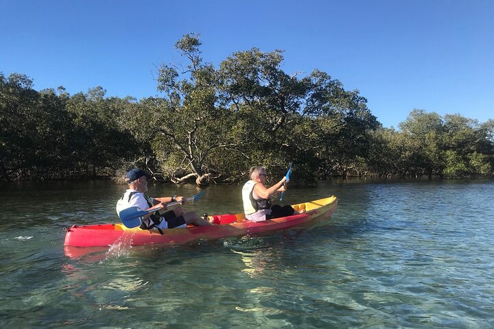 Sunset Brunswick River Nature Kayak Tour