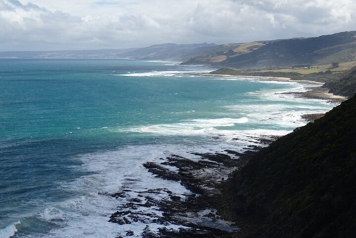 Great Ocean Road Tour Plus Koalas, Forest Walk And Morning Tea.