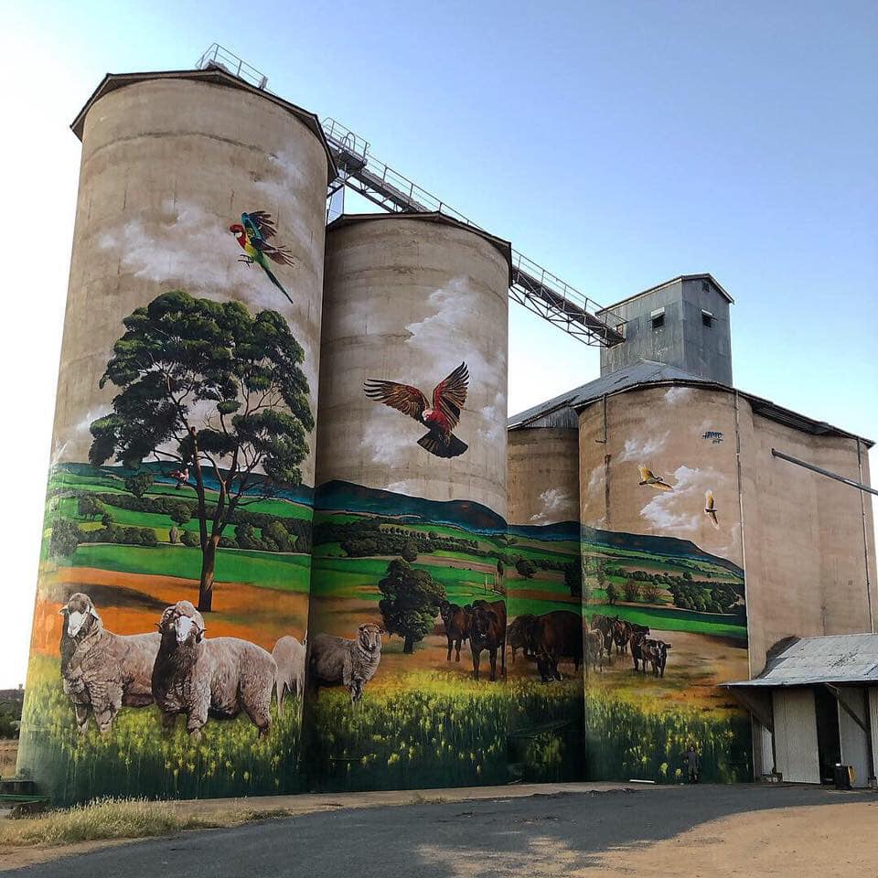 NSW Outback Bourke Macquarie Marshes Silo Art Mungo National Park Sydney to Broken Hill 8 days