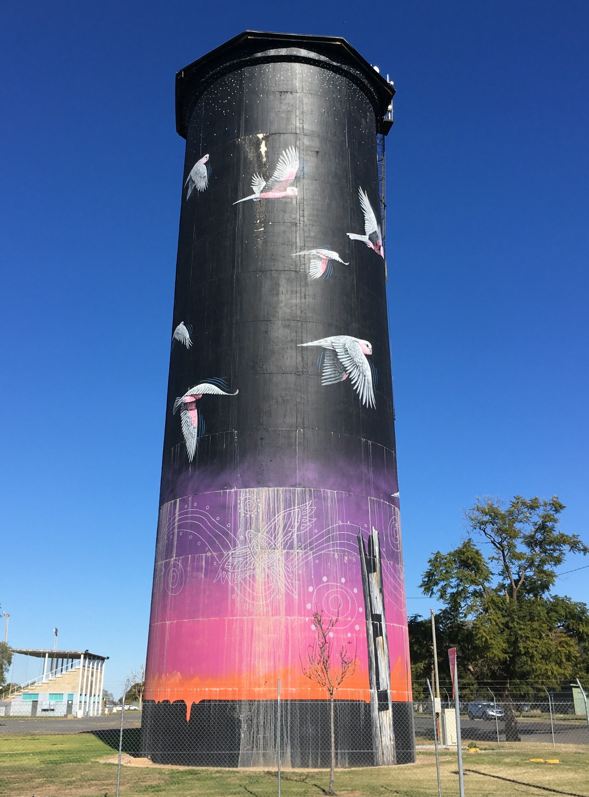 NSW Outback Bourke Macquarie Marshes Silo Art Mungo National Park Sydney to Broken Hill 8 days