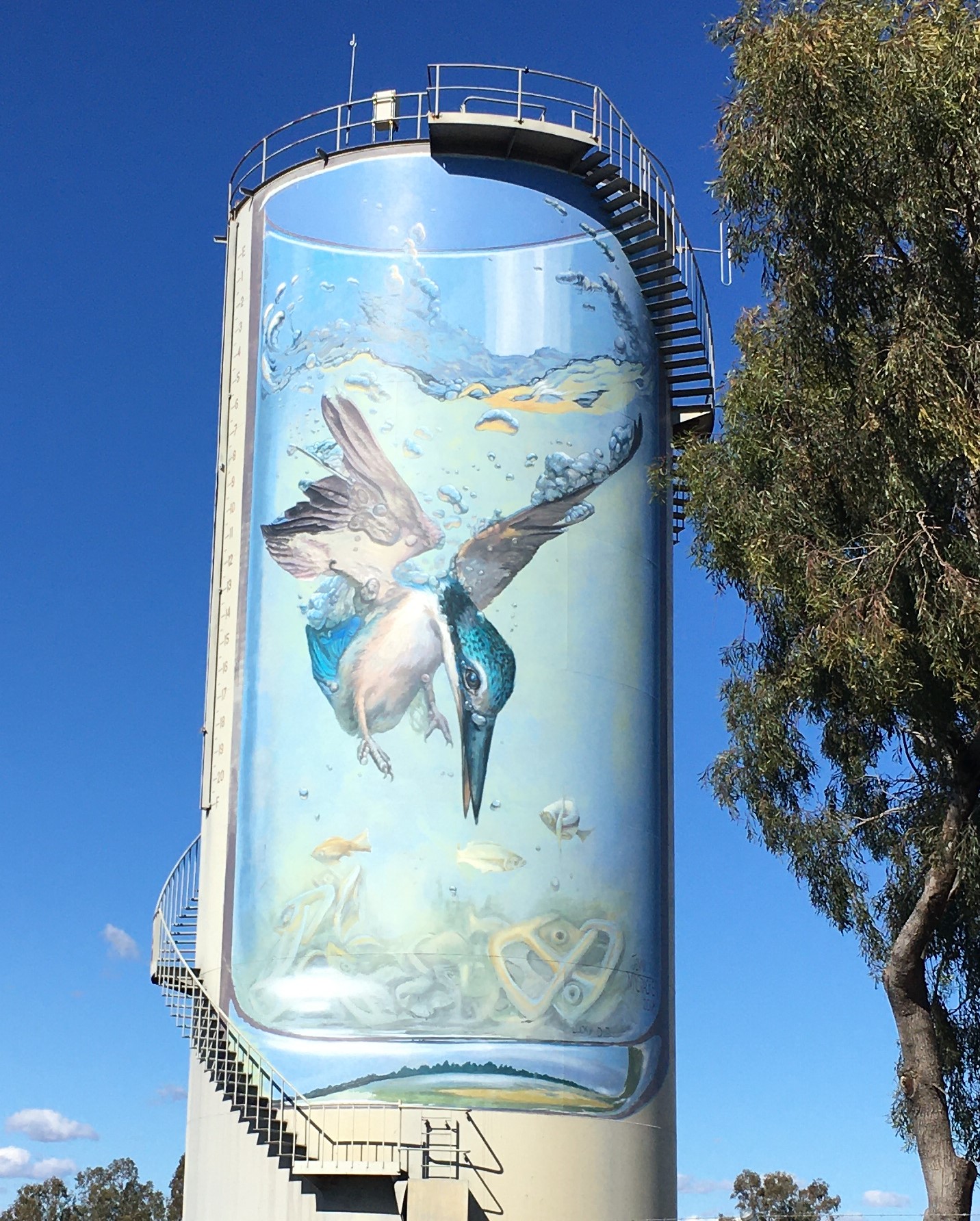 NSW Outback Bourke Macquarie Marshes Silo Art Mungo National Park Sydney to Broken Hill 8 days