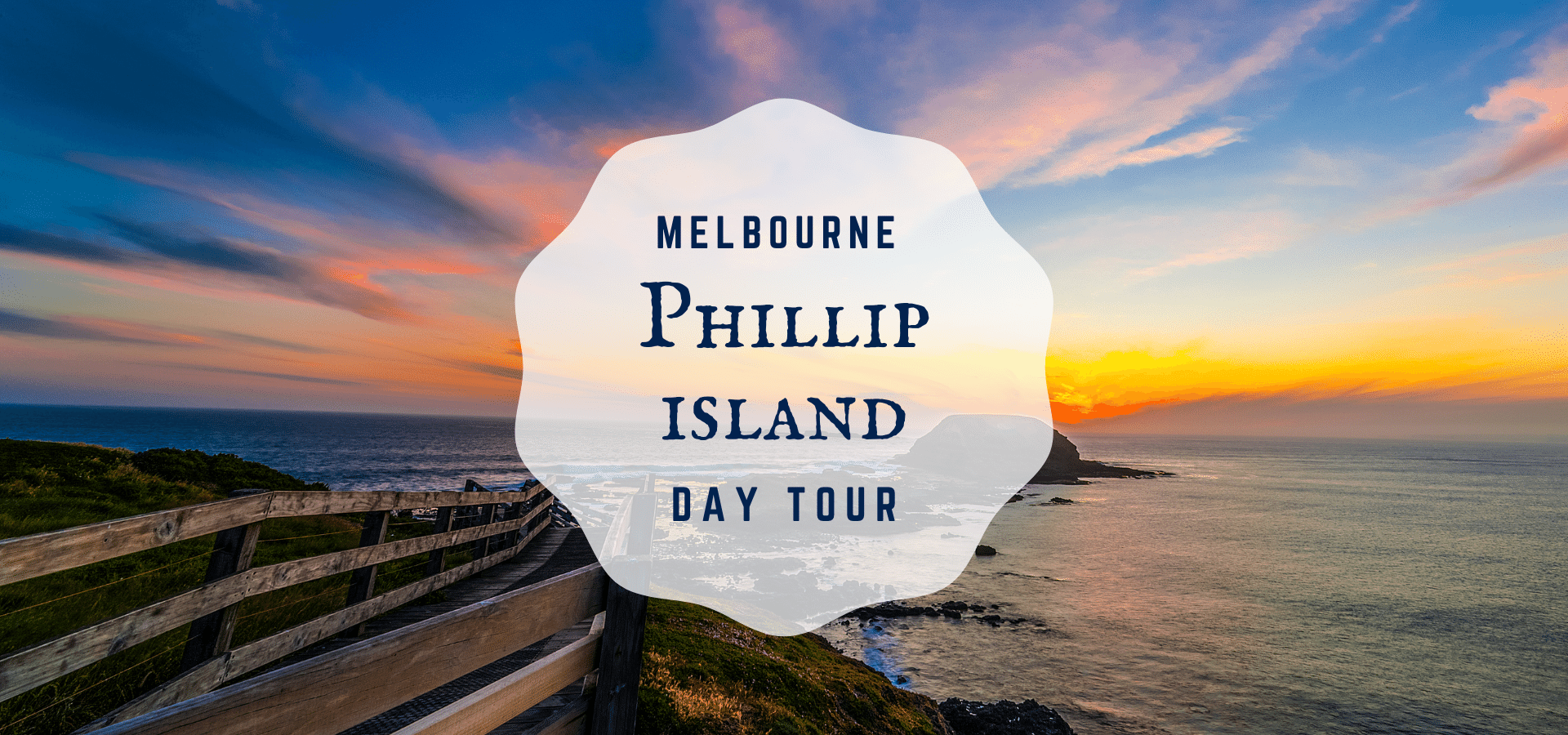 【Australia・Phillip Island Day Tour】Watch the Fairy Penguins return to their nests / Depart every Saturday