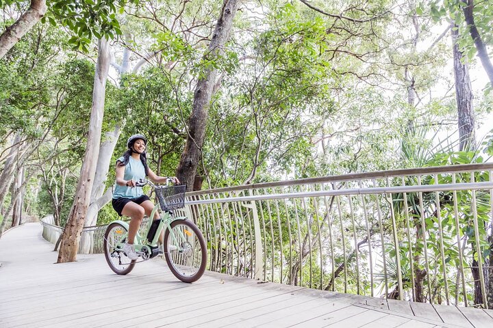 3-Hour Noosa Explorer e-Bike Tour