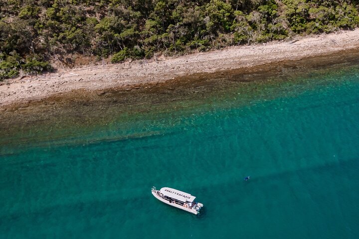 Island Hopper