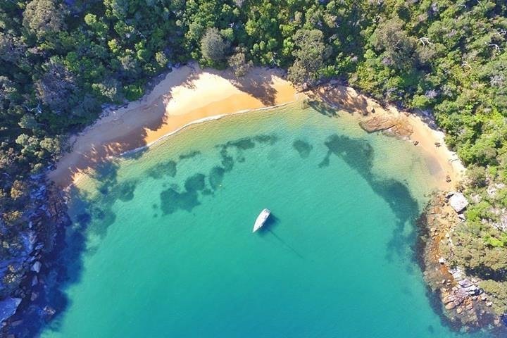 Sydney Icons, Bays & Beaches Boat Tour with 2 Guided Stops