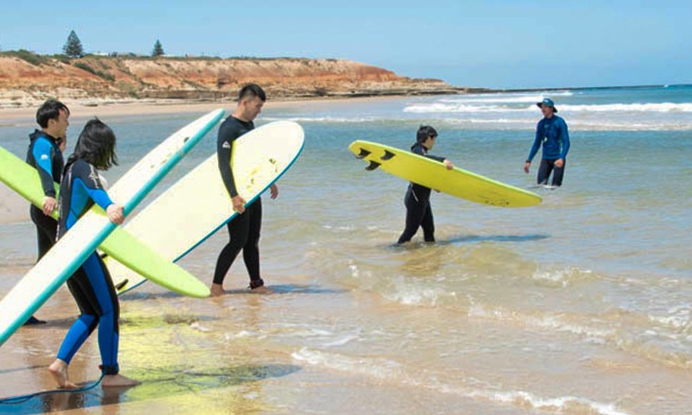 Fleurieu Peninsula Surf Lesson & Winery Tour