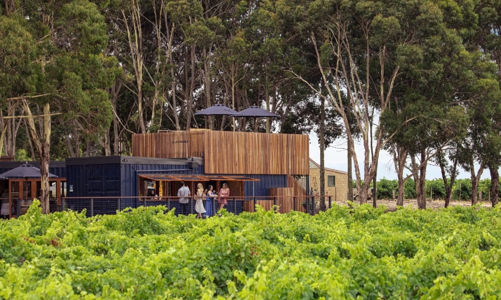 Fleurieu Peninsula Surf Lesson & Winery Tour