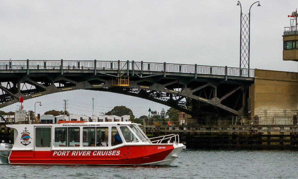 Port River Dolphin Cruise – 90 Minutes