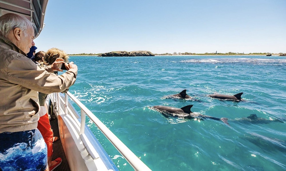 Shoalwater Islands Snorkelling Cruise with Lunch – Spectator