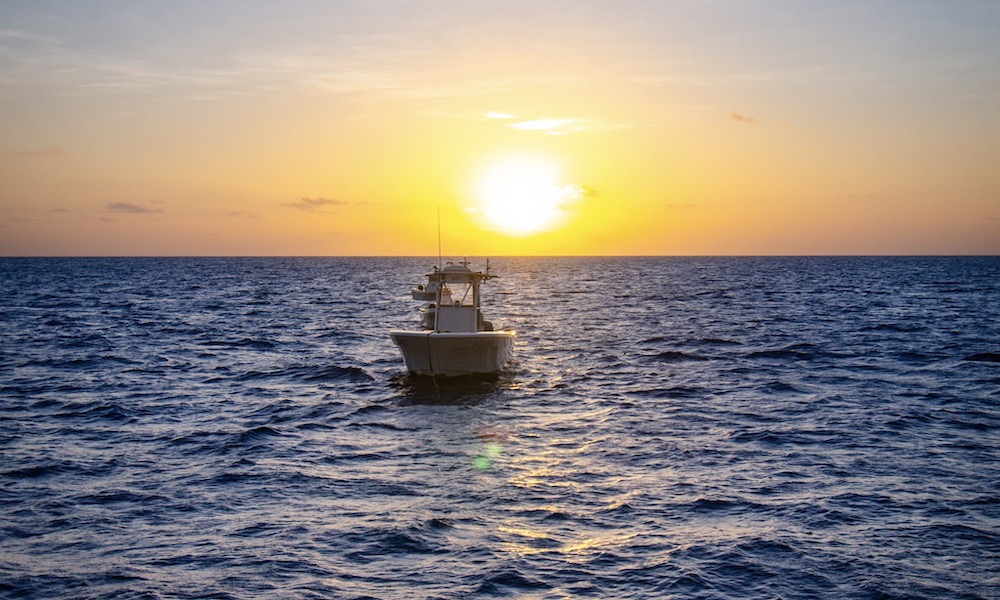 Port Douglas Offshore 23ft Centre Console Boat Hire