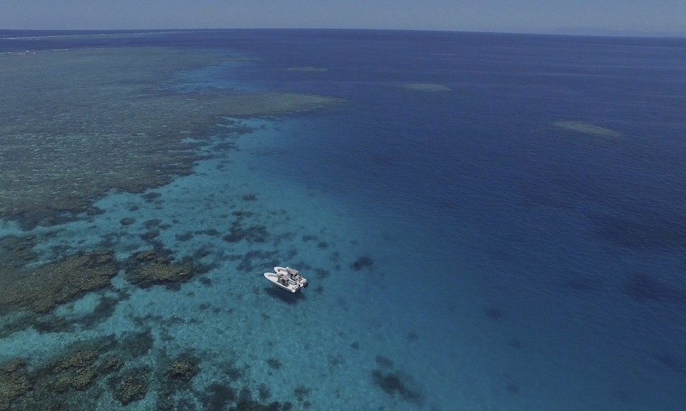 Port Douglas Offshore 23ft Centre Console Boat Hire