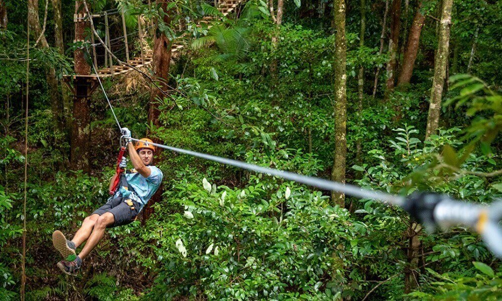 Cape Tribulation Zipline Canopy Tour – 2 Hours