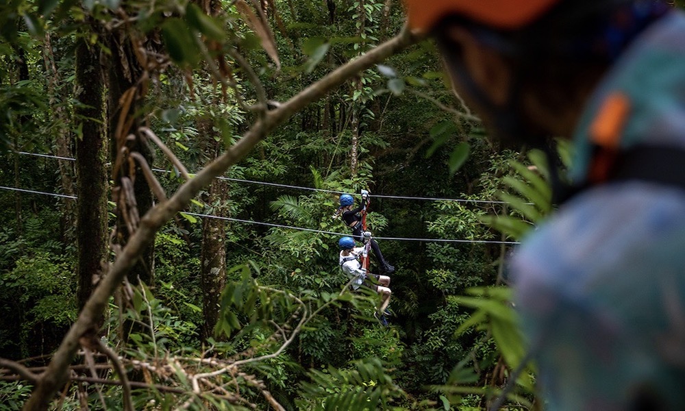 Cape Tribulation Zipline Canopy Tour - 2 Hours