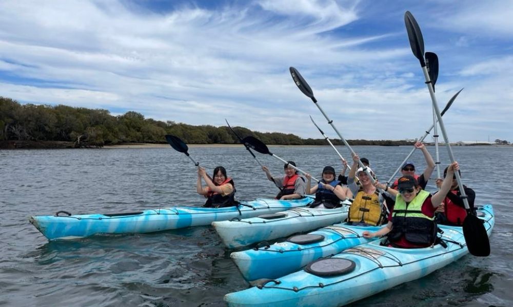 Dolphin Sanctuary Kayaking Eco Tour