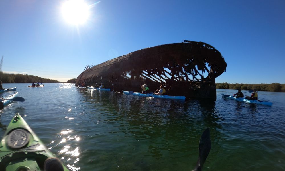 Dolphin Sanctuary Kayaking Eco Tour