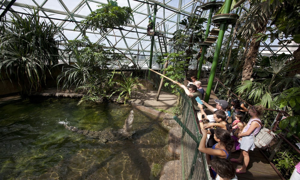 Cairns Wildlife Dome Entry