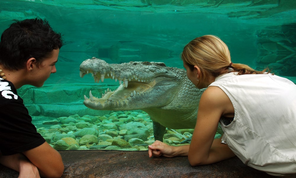 Cairns Wildlife Dome Entry