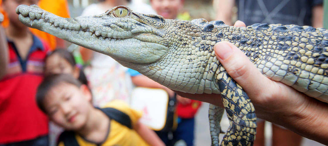 Cairns Wildlife Dome Entry