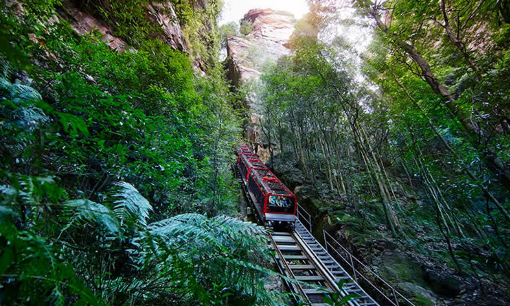 Scenic World Pass