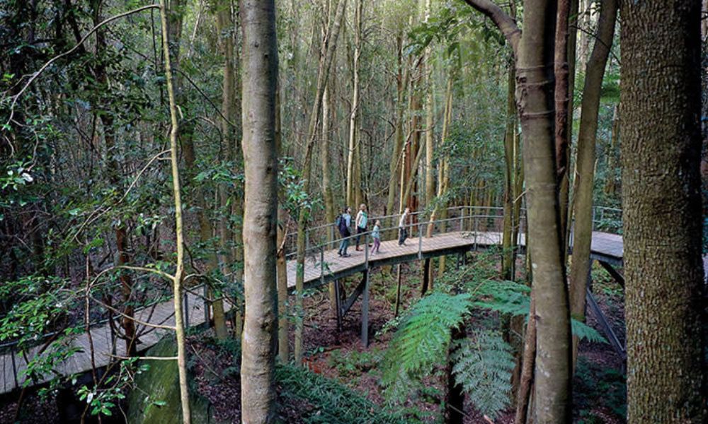 Scenic World Pass