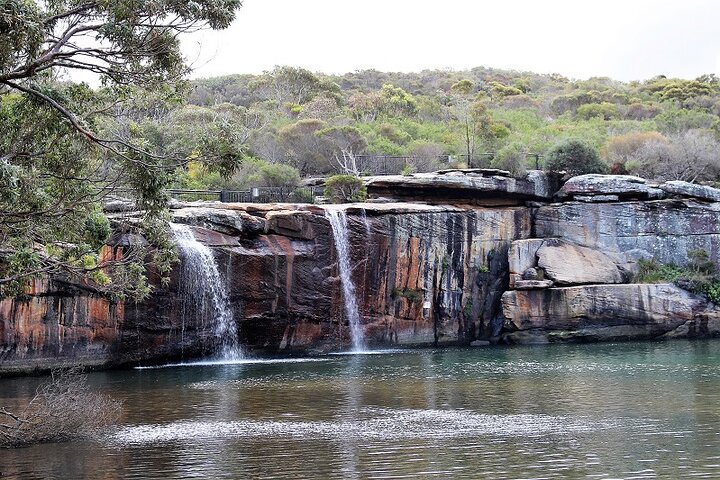 South Coast Day Tour, Blowholes, Lookouts, Bridge and Rainforest walk