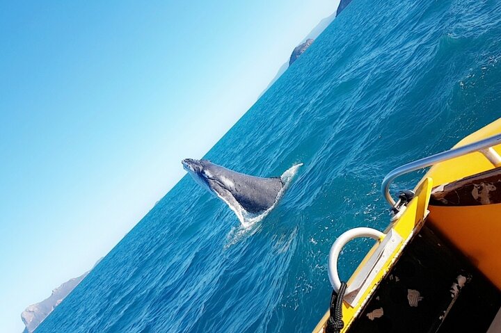 One day Whitsunday Islands cruise incl Whitehaven Beach, Snorkeling & Hill Inlet