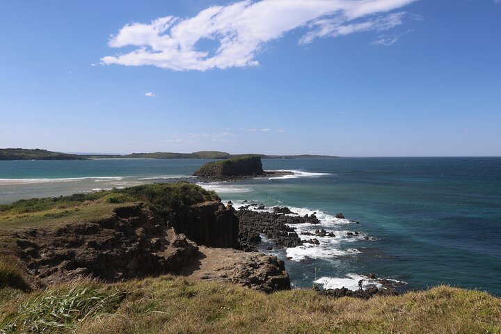 South Coast Day Tour, Blowholes, Lookouts, Bridge and Rainforest